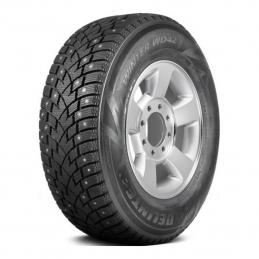 DELINTE Winter WD42 235/45R18 98T  XL