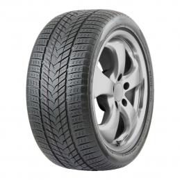 Roadmarch WinterXPro 999 245/45R19 102H  XL